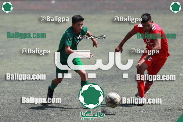 ایکس۱ ایکس۲ - ایکس۳ ایکس۴