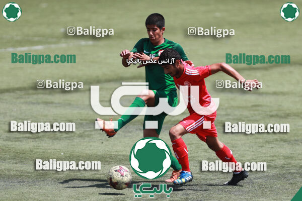 ایکس۱ ایکس۲ - ایکس۳ ایکس۴