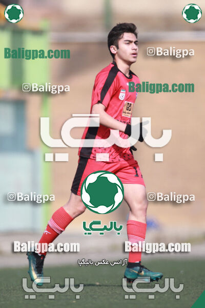۰ - ۱ گسترش سبزپوشان