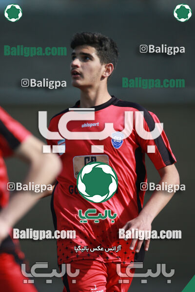 ۰ - ۱ گسترش سبزپوشان
