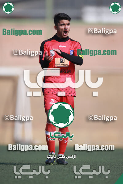 ۰ - ۱ گسترش سبزپوشان