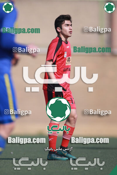 ۰ - ۱ گسترش سبزپوشان