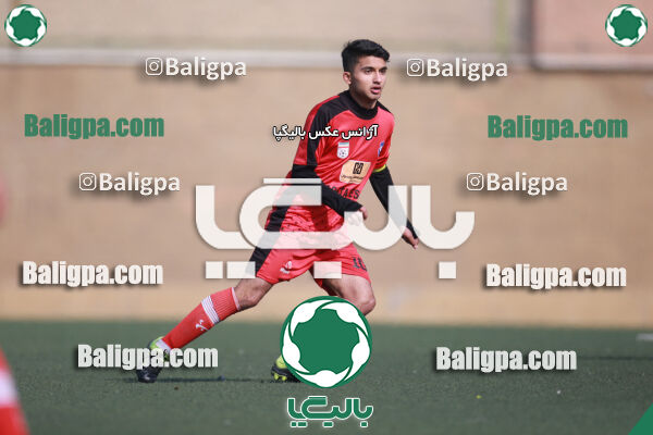 ۰ - ۱ گسترش سبزپوشان