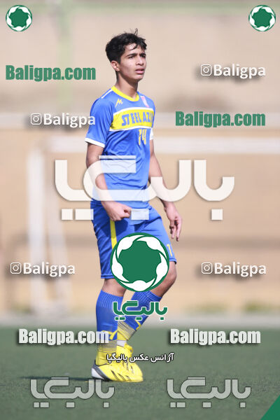 ۰ - ۱ گسترش سبزپوشان
