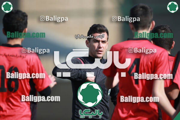 ۰ - ۱ گسترش سبزپوشان