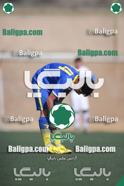 ۰ - ۱ گسترش سبزپوشان