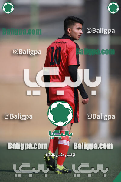 ۰ - ۱ گسترش سبزپوشان