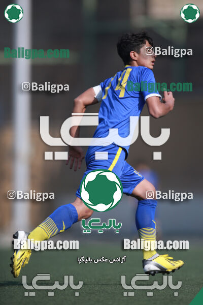 ۰ - ۱ گسترش سبزپوشان