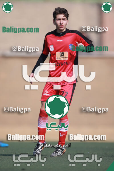 ۰ - ۱ گسترش سبزپوشان