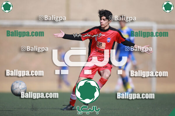 ۰ - ۱ گسترش سبزپوشان