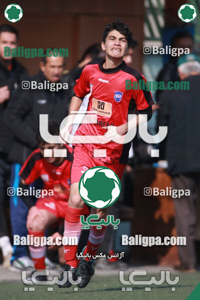 ۰ - ۱ گسترش سبزپوشان