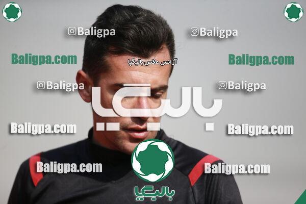 ۰ - ۱ گسترش سبزپوشان