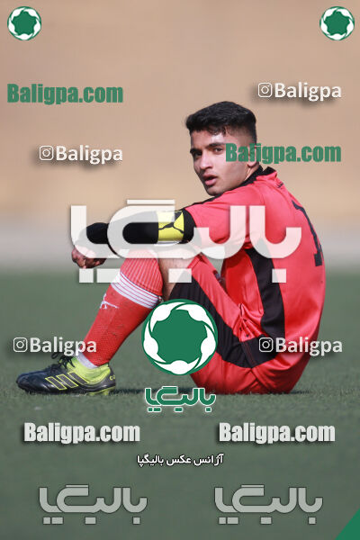 ۰ - ۱ گسترش سبزپوشان