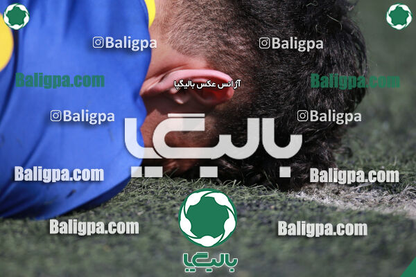 ۰ - ۱ گسترش سبزپوشان