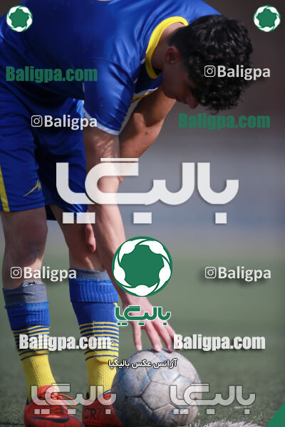 ۰ - ۱ گسترش سبزپوشان