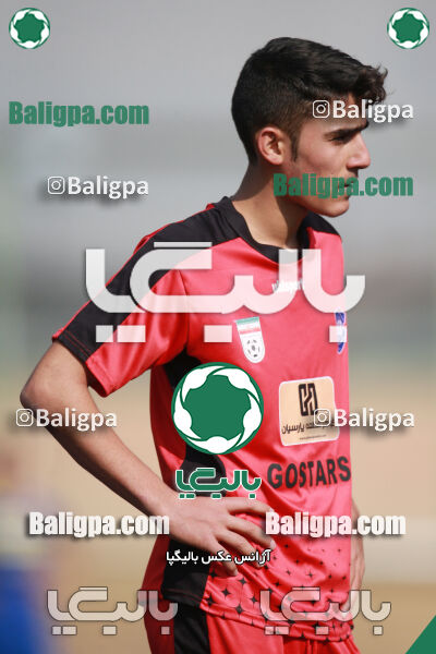 ۰ - ۱ گسترش سبزپوشان