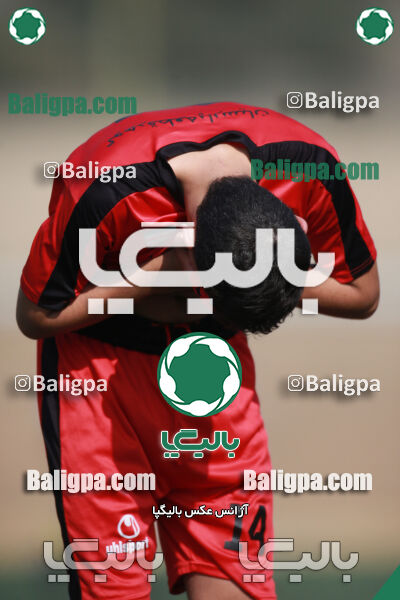 ۰ - ۱ گسترش سبزپوشان