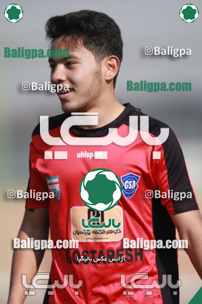 ۰ - ۱ گسترش سبزپوشان