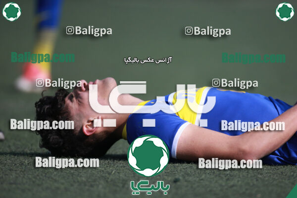 ۰ - ۱ گسترش سبزپوشان