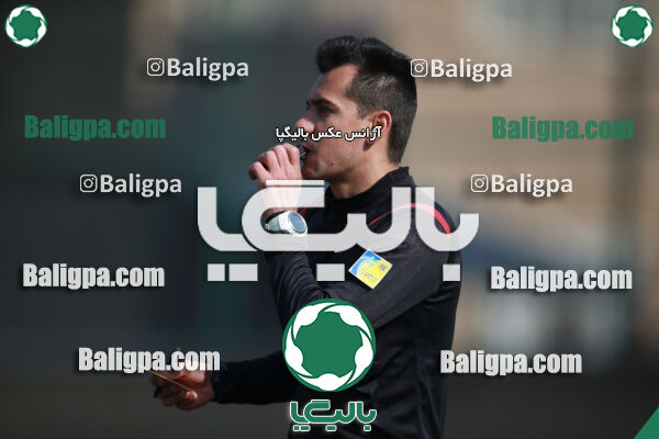 ۰ - ۱ گسترش سبزپوشان
