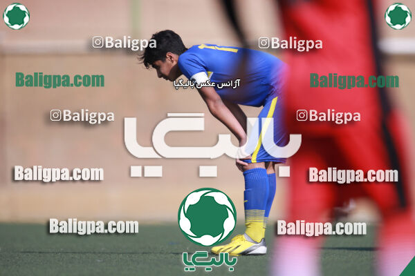 ۰ - ۱ گسترش سبزپوشان
