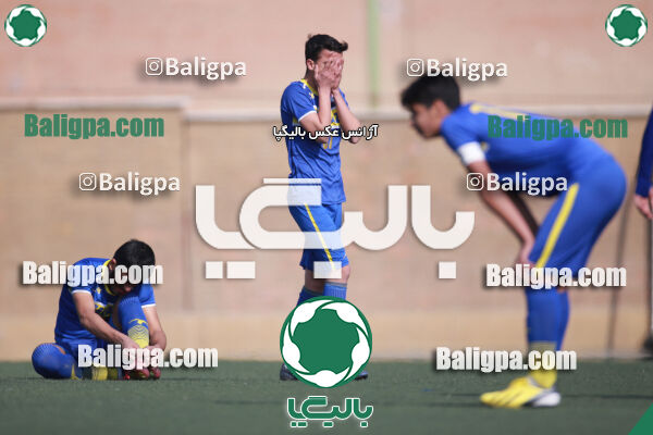 ۰ - ۱ گسترش سبزپوشان