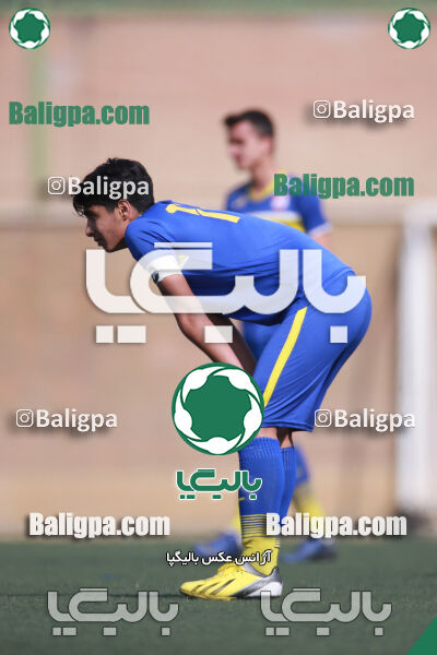 ۰ - ۱ گسترش سبزپوشان