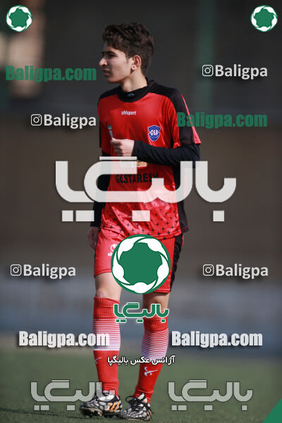 ۰ - ۱ گسترش سبزپوشان