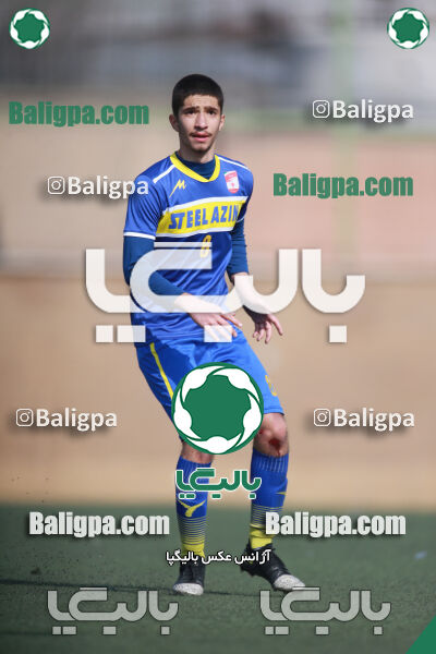 ۰ - ۱ گسترش سبزپوشان