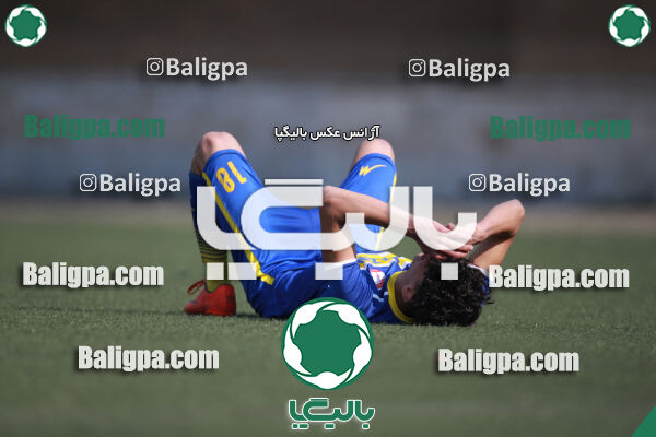 ۰ - ۱ گسترش سبزپوشان