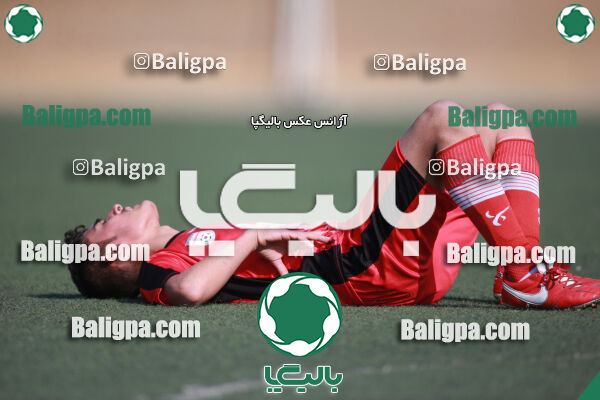 ۰ - ۱ گسترش سبزپوشان