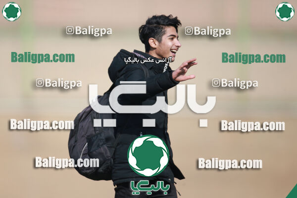 ۰ - ۱ گسترش سبزپوشان