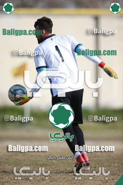 نیروی زمینی ۲ - ۱ پیکان