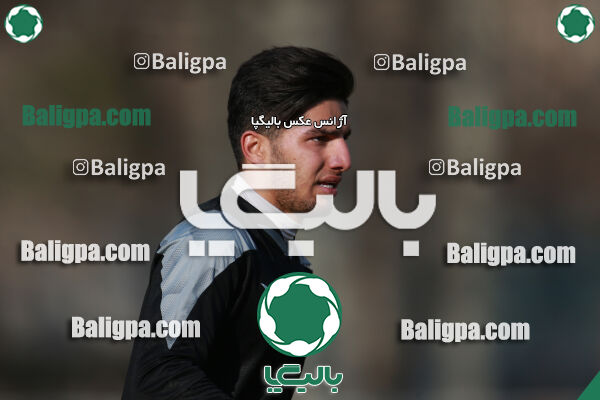 نیروی زمینی ۲ - ۱ پیکان