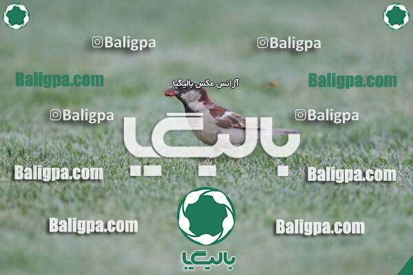 نساجی مازندران ۲ - ۱ تراکتور