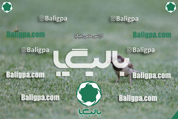 نساجی مازندران ۲ - ۱ تراکتور