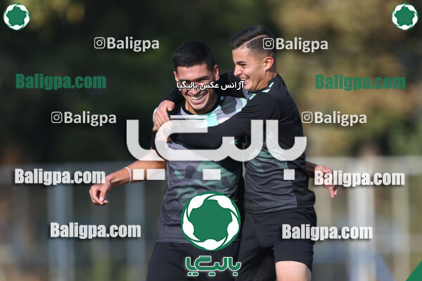نیروی زمینی 3–1 وحدت ایرانیان