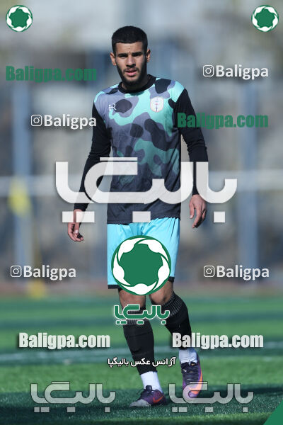 ۰ - ۰ نیروی زمینی