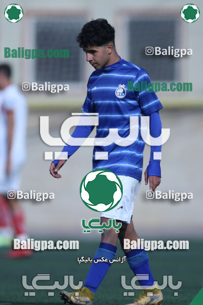 ۲ - ۳ استقلال