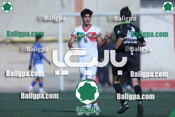 ۲ - ۳ استقلال