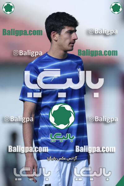 ۲ - ۳ استقلال