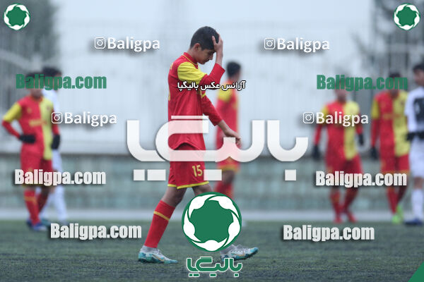 ۱ - ۴ شاهین