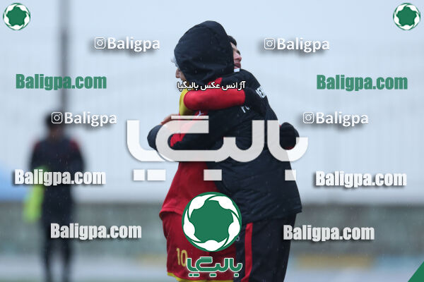 ۱ - ۴ شاهین