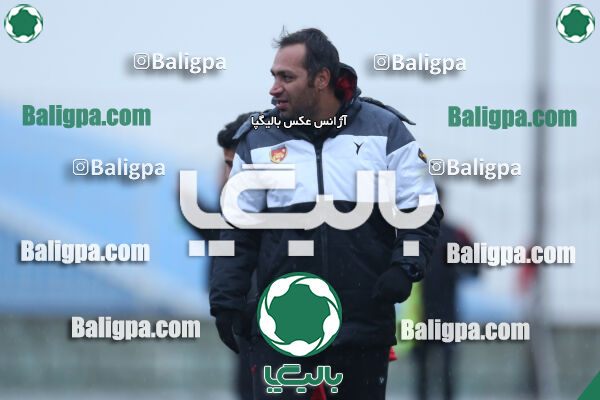 ۱ - ۴ شاهین