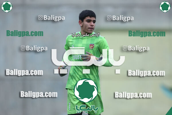 ۱ - ۴ شاهین
