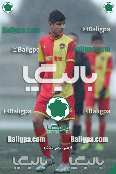 ۱ - ۴ شاهین