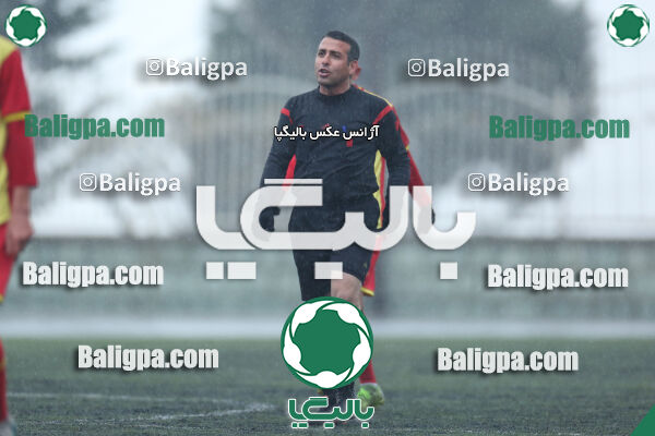 ۱ - ۴ شاهین