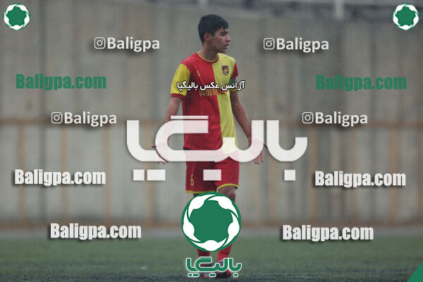 ۱ - ۴ شاهین