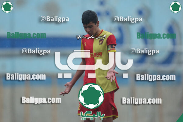 ۱ - ۴ شاهین