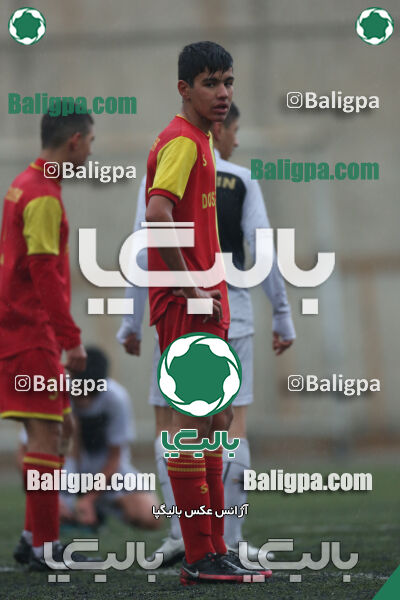 ۱ - ۴ شاهین